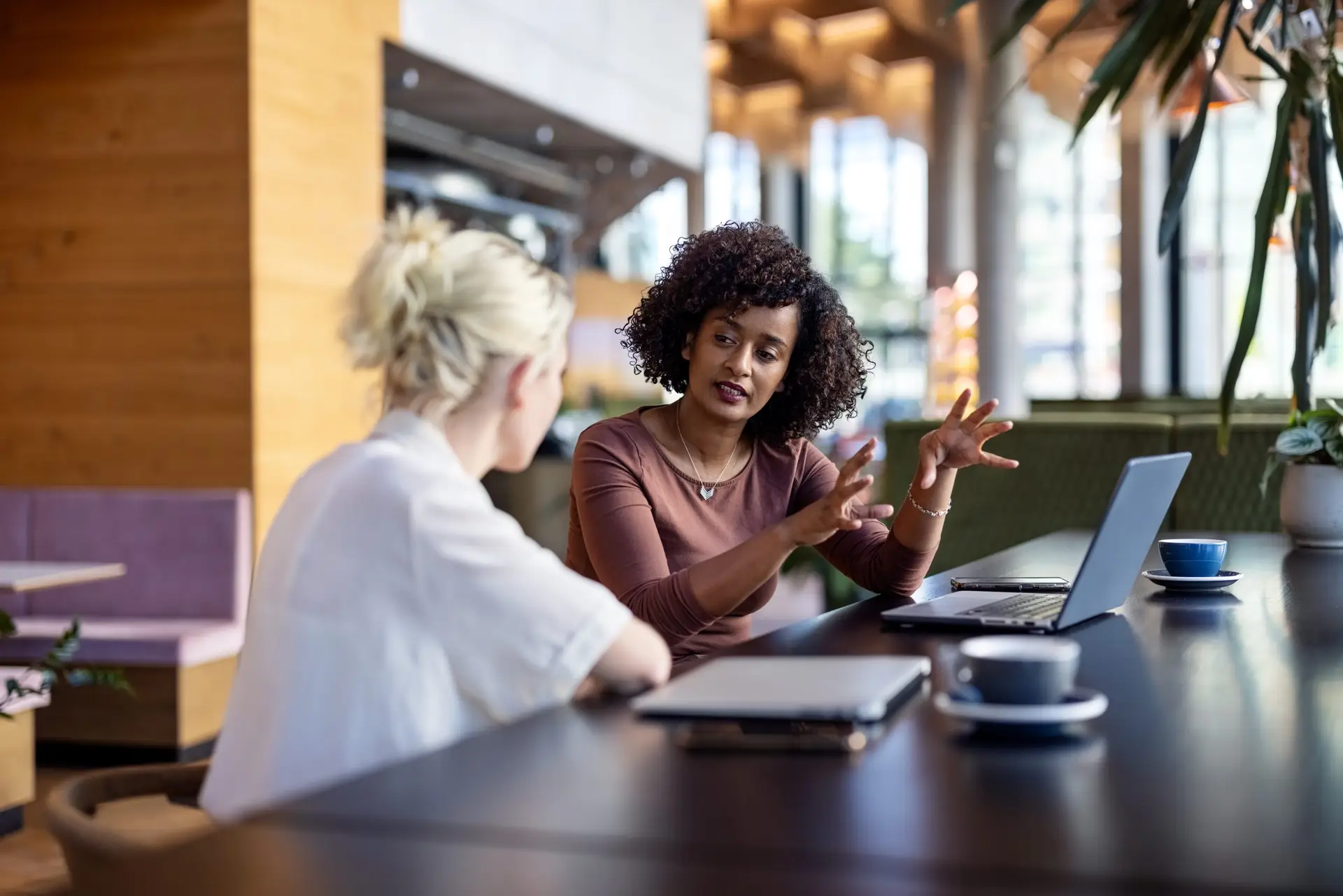 Two women having a discussion at a cafe table with laptops and coffee cups. one woman gestures animatedly while talking, and the other listens attentively. the setting has a modern, airy vibe with plants in the background.